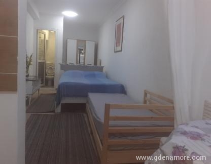 Appartement Rajka, logement privé à Herceg Novi, Mont&eacute;n&eacute;gro -  апарт